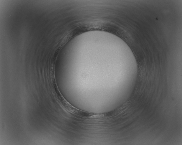 X0000053000126200507081005