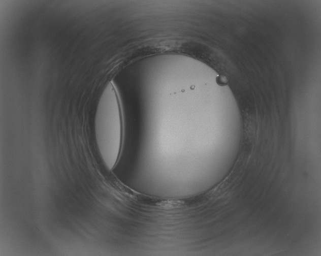 X0000053000128200507081005