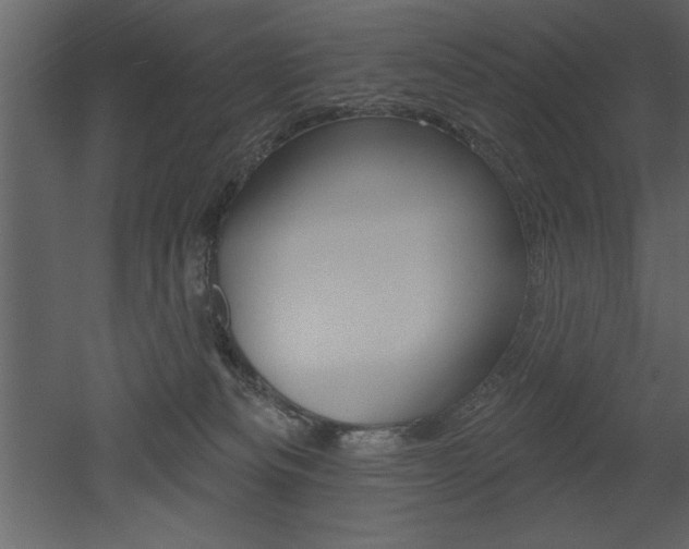 X0000053000133200507081005