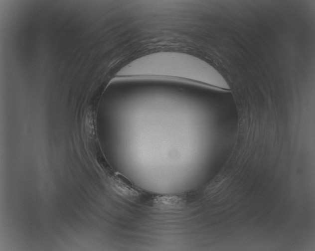 X0000053000137200507081005
