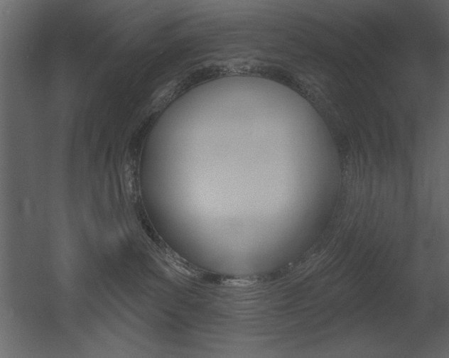 X0000053000139200507081005