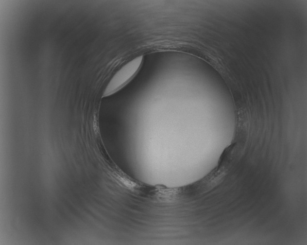 X0000053000143200507081005