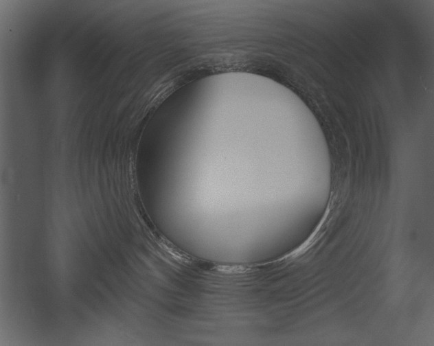 X0000053000144200507081005