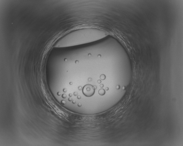 X0000053000145200507081004