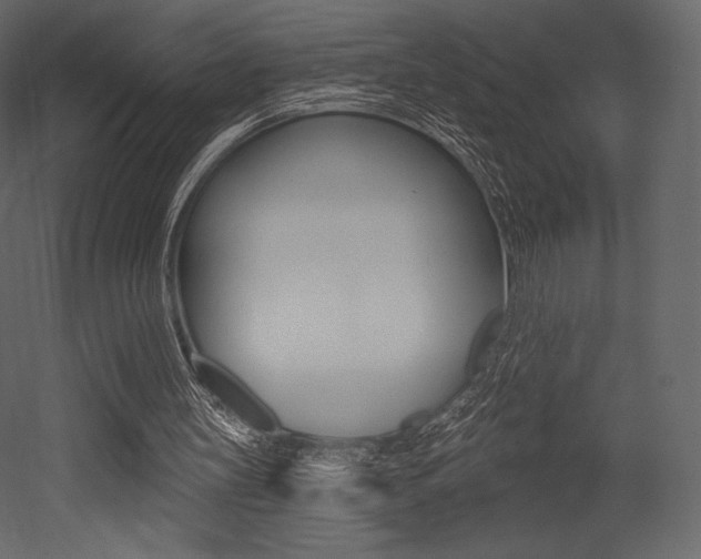 X0000053000147200507081004