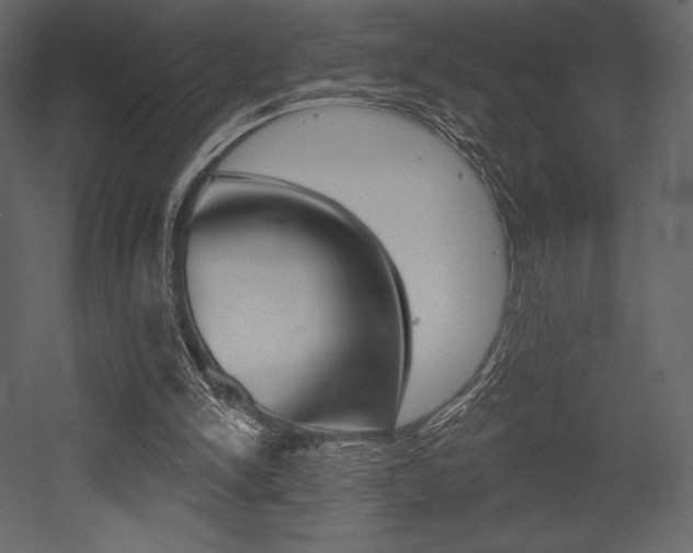 X0000053000150200507081004