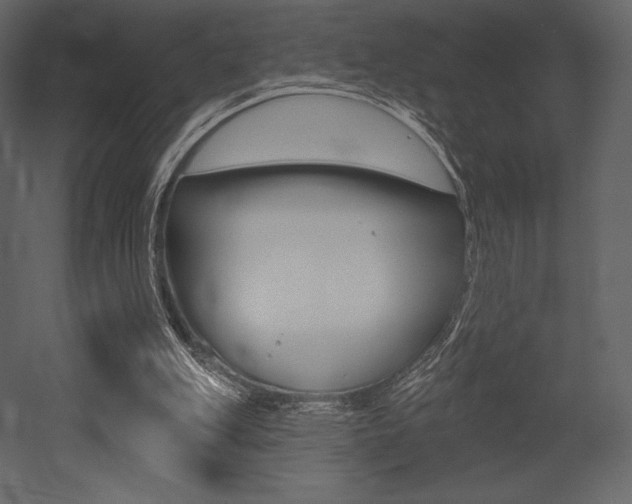 X0000053000151200507081004