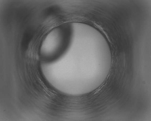X0000053000154200507081004