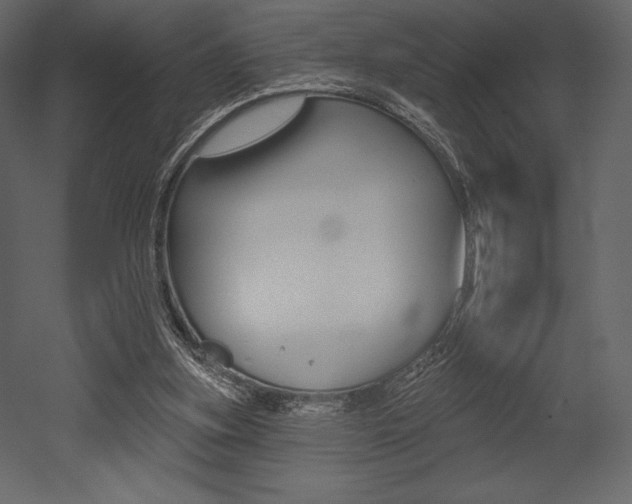 X0000053000155200507081004