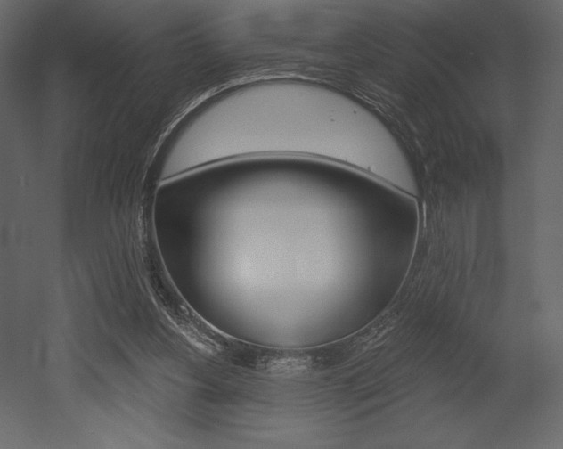 X0000053000156200507081004