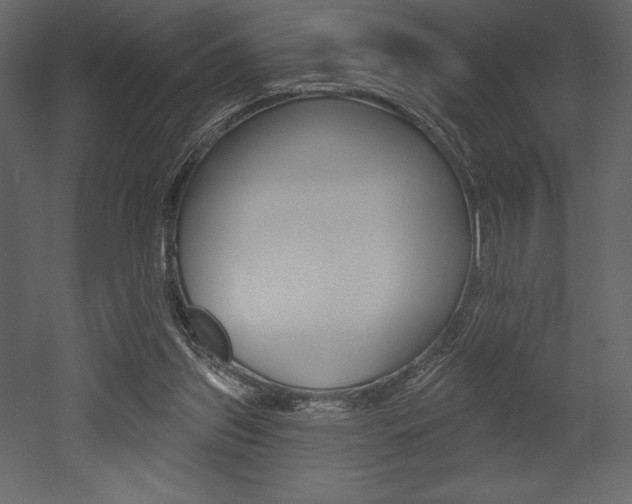 X0000053000157200507081004