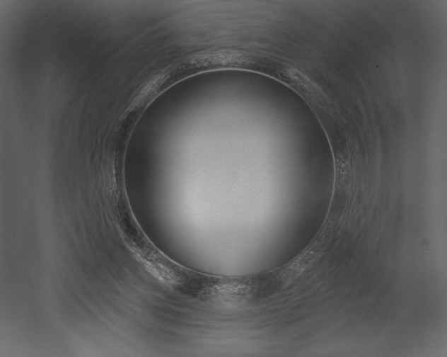 X0000053000158200507081004