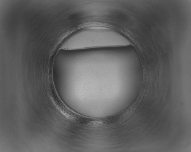 X0000053000159200507081004