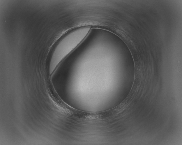 X0000053000160200507081004