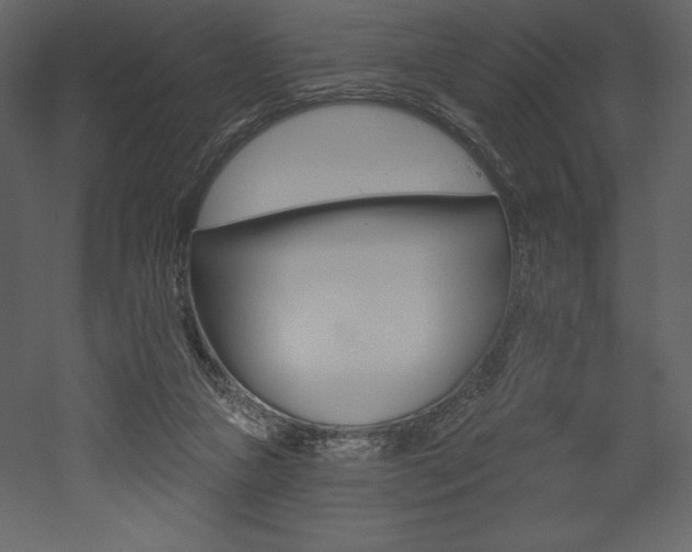 X0000053000161200507081004