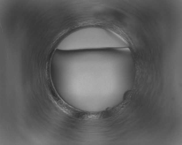 X0000053000163200507081004