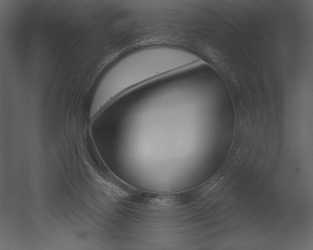 X0000053000164200507081004