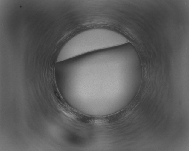 X0000053000165200507081004