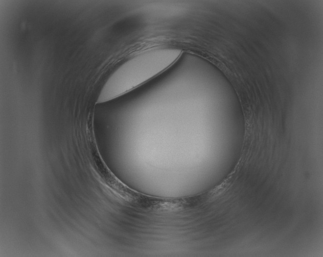 X0000053000166200507081004