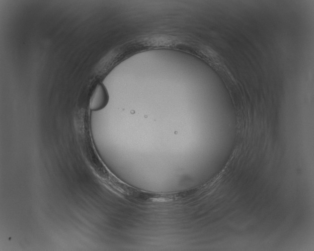 X0000053000167200507081004