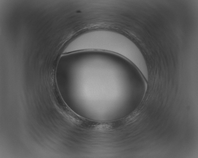 X0000053000168200507081004