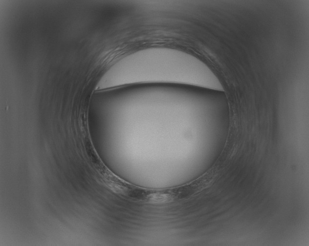 X0000053000169200507081004
