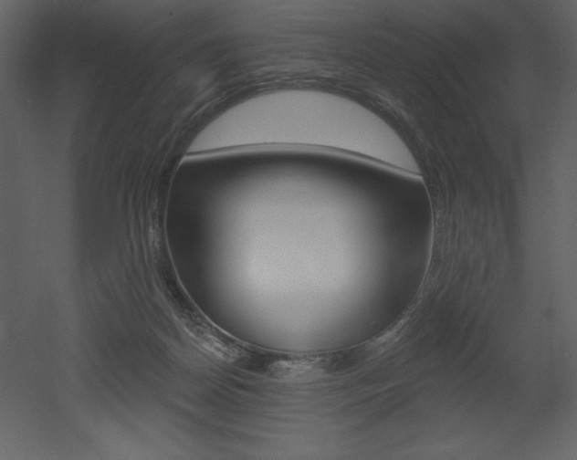 X0000053000170200507081004