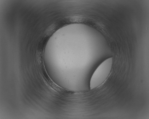 X0000053000171200507081004