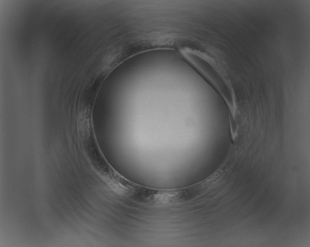 X0000053000172200507081004