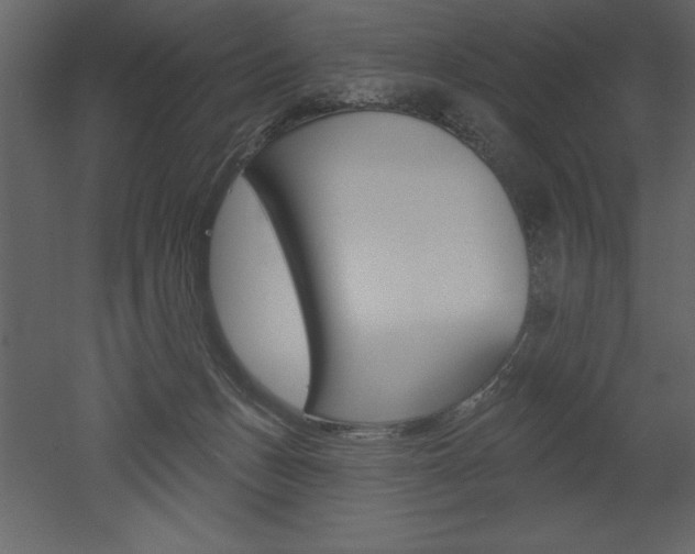 X0000053000175200507081005