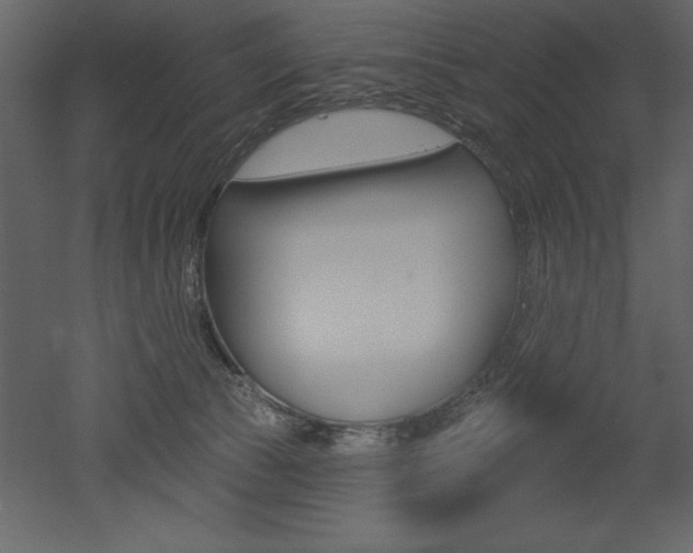 X0000053000177200507081005
