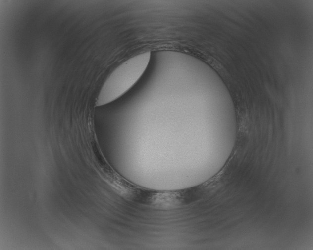 X0000053000179200507081005