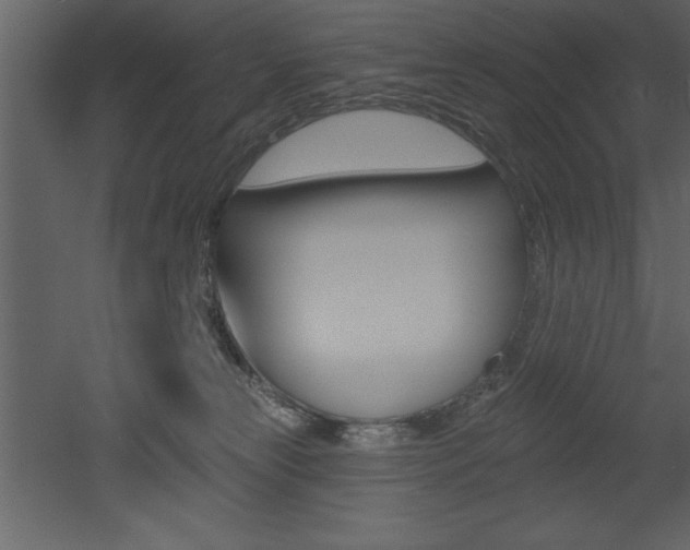 X0000053000181200507081005