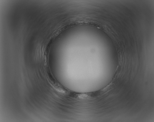 X0000053000183200507081005