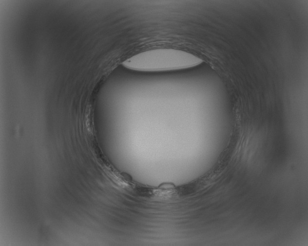 X0000053000185200507081005