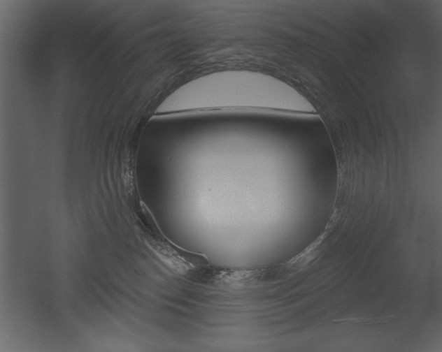 X0000053000186200507081005