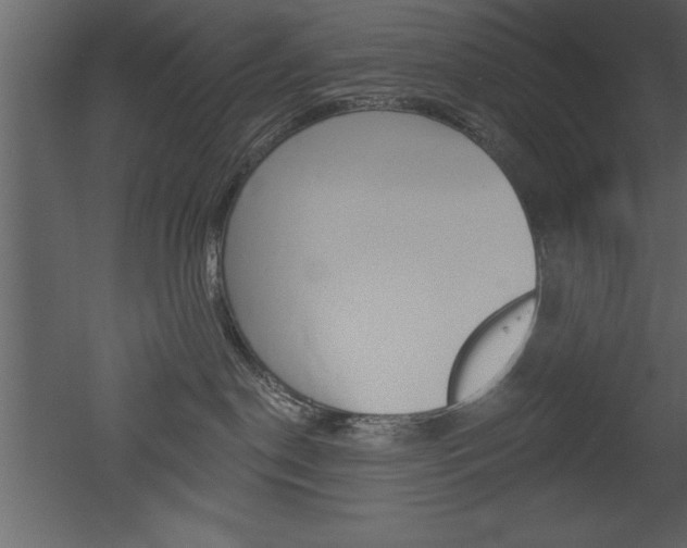X0000053000190200507081005