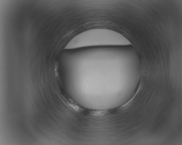 X0000053000191200507081005