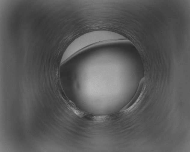 X0000053000192200507081005