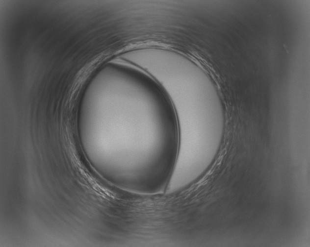 X0000053000193200507081004