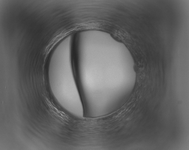 X0000053000194200507081004
