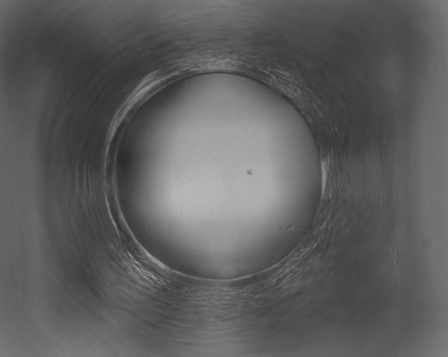 X0000053000195200507081004