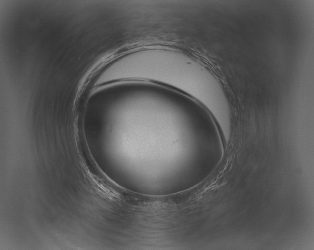 X0000053000197200507081004