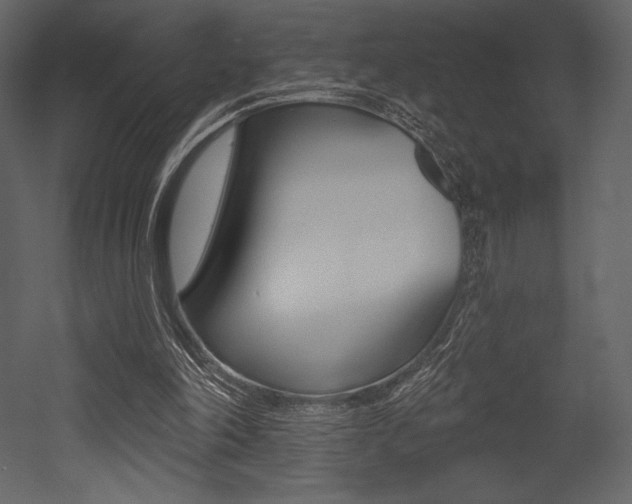 X0000053000198200507081004
