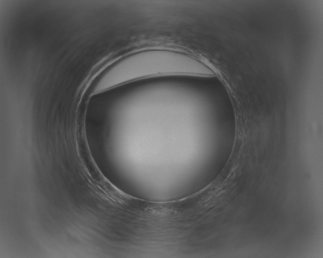 X0000053000199200507081004