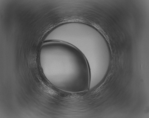X0000053000201200507081004