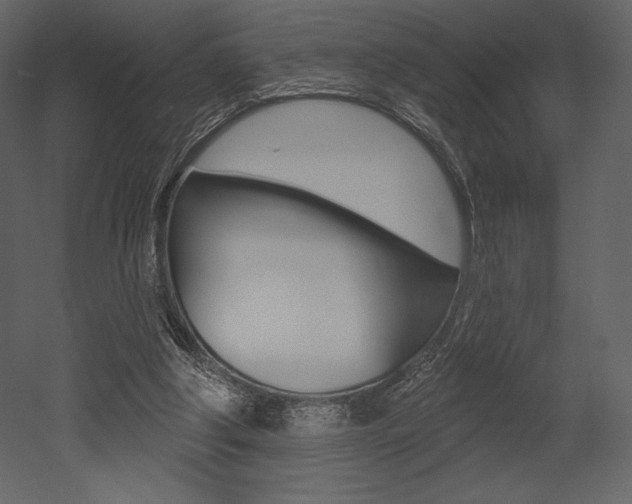 X0000053000202200507081004