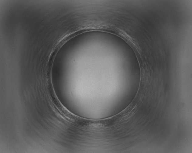 X0000053000203200507081004