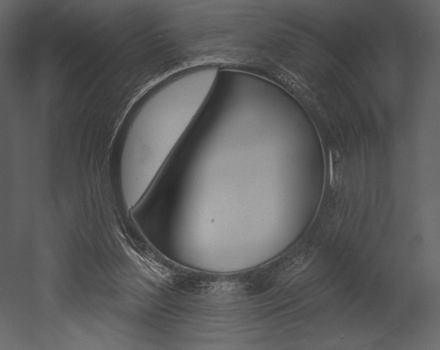 X0000053000204200507081004