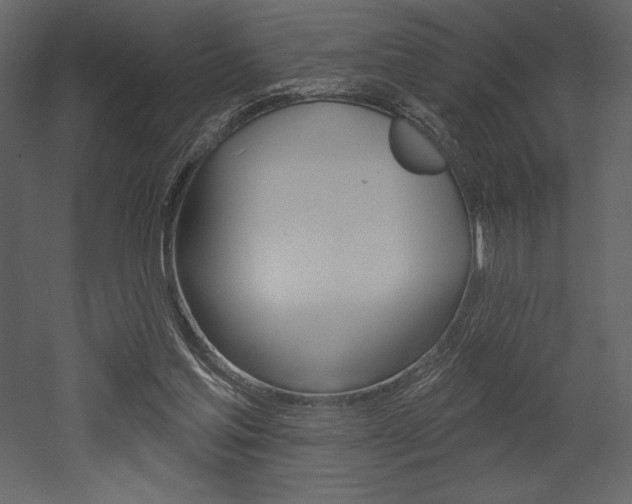 X0000053000205200507081004